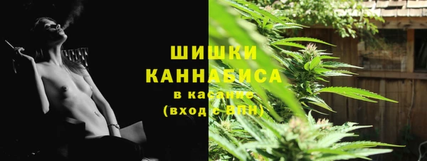дживик Новодвинск