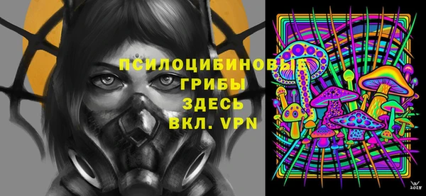 дживик Новодвинск