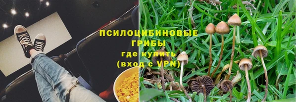 дживик Новодвинск