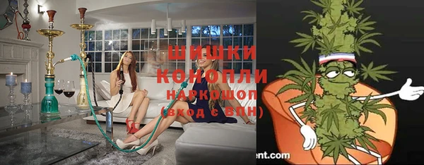 дживик Новодвинск