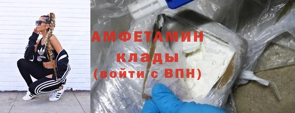 индика Красноперекопск