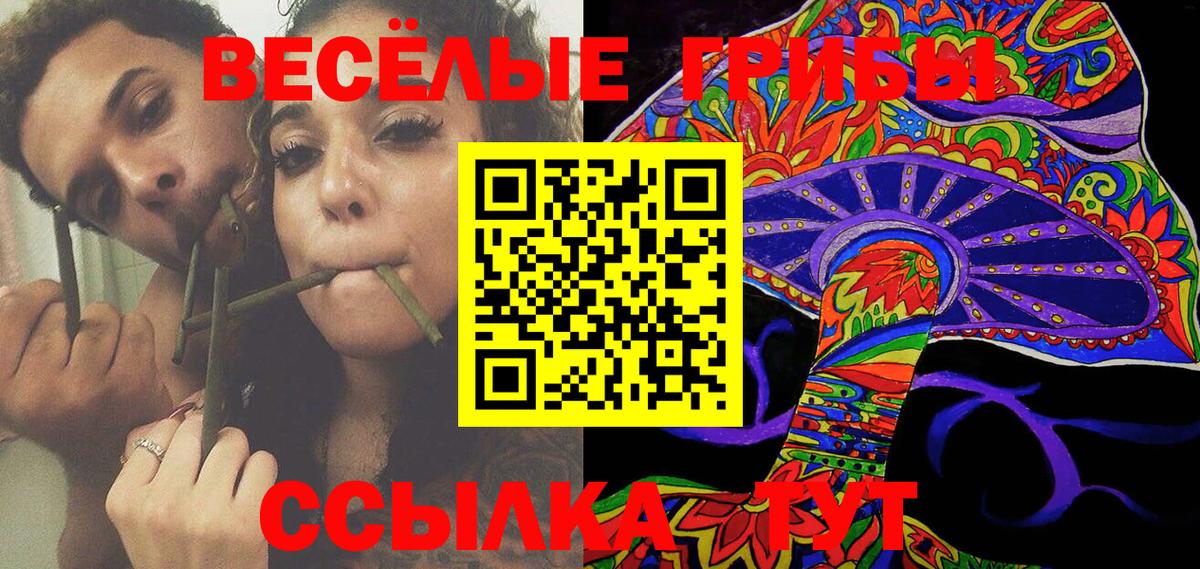 Псилоцибиновые грибы Cubensis  Вход с VPN  Кувандык 