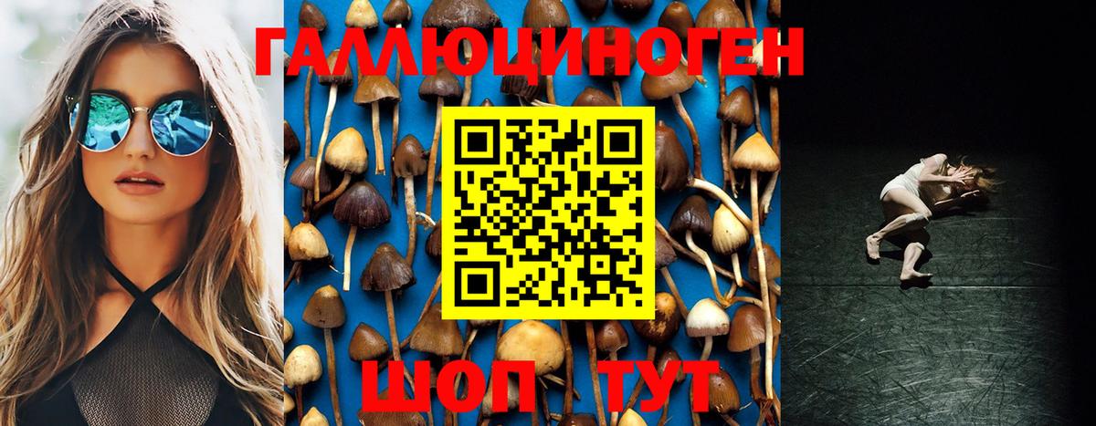 Галлюциногенные грибы Psilocybe Кувандык