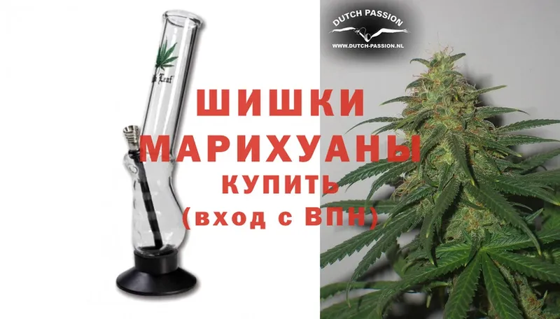 Конопля SATIVA & INDICA  Кувандык 